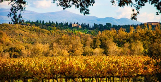 Tuscany Tours From Rome Rome Chauffeur