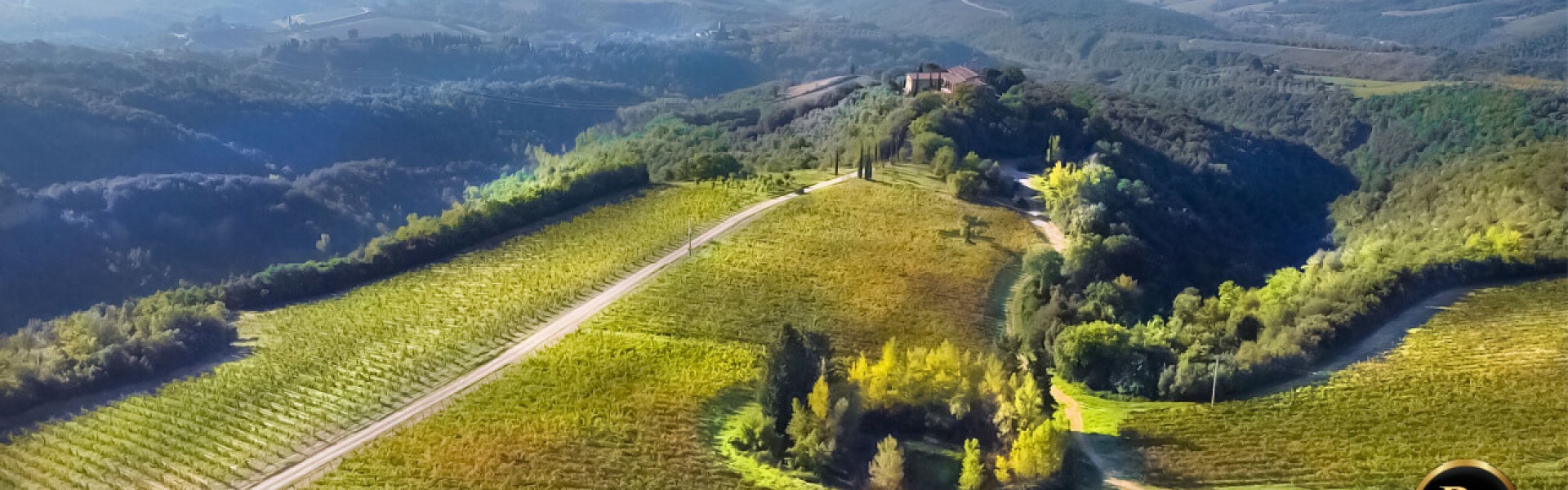 orvieto winery tour from rome